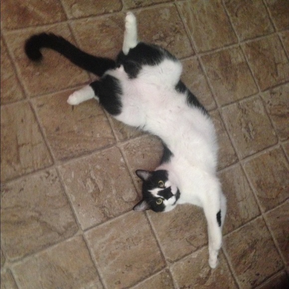 🥰Meet Your Seller..❗️ - Picture 9 of 11